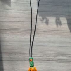 Halloween decoration