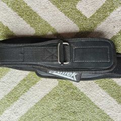 Schiek Power Lifting Belt