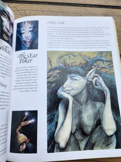 Good Faeries Bad Faeries. By Brian Froud. Edited By  Terri Windling. First Edition Large Volume Paperback In Very Good Condition.