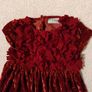 NEXT Red Velvet Occasion Dress, Image 6