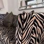 dfs sofa Image 3