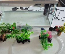 Fish tank 58 litres