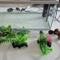 fish tank