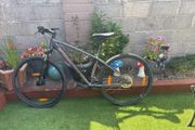 trek dual sport