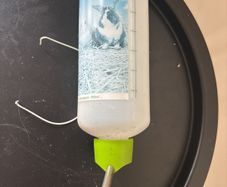 rabbit water bottle