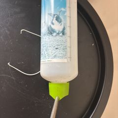rabbit water bottle