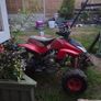 quad Image 4