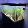 110L fish tank need gone ASAP Image 2