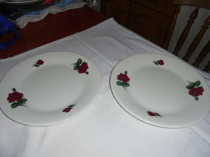 Vintage/Retro Ceramic Dinner Plates x 3 for Sale