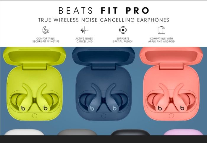 Beats Fit Earphone