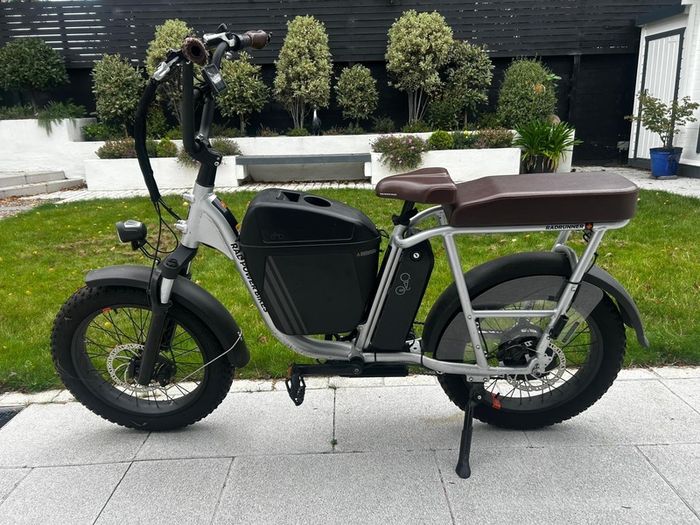 Electric Bike (Radrunner plus)