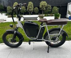 Electric Bike (Radrunner plus)