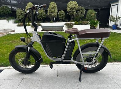 Electric Bike (Radrunner plus)