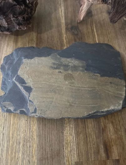 Reptile tank vivarium decoration Accessories 3 pieces