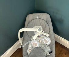 Joie Dreamer Rocker & Bouncer  Excellent Condition