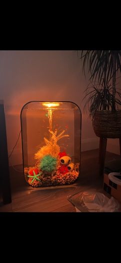 Biorb Life Aquarium 45 L with multi colour remote control