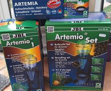brine shrimp breeding set