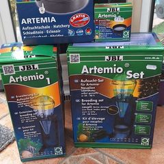 brine shrimp breeding set
