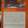 A Thousand Encounters With The Blessed Virgin Mary In Medjugorie. The Seer Vicka Speaks Of Her Experiences. Rare Paperback In Good Condition. Image 2
