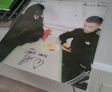 Baby Dave Monkey Brain blood records limited to 500 grey marbel vinyl signed. slaves. soft play