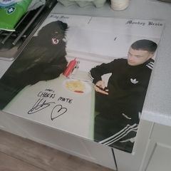 Baby Dave Monkey Brain blood records limited to 500 grey marbel vinyl signed. slaves. soft play