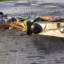 Archery Bow, 64" Recurve, ILF Limbs (30, 40, 50 lbs), +3x carbon arrows Image 6