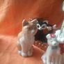 Chorus of Cats Image 3