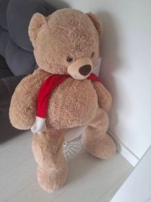 teddy bear
