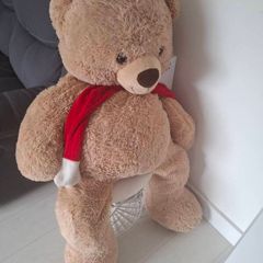 teddy bear