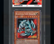Yu-Gi-Oh! Blue-Eyes Toon Dragon