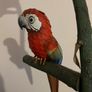 Handmade bird parrot Image 3