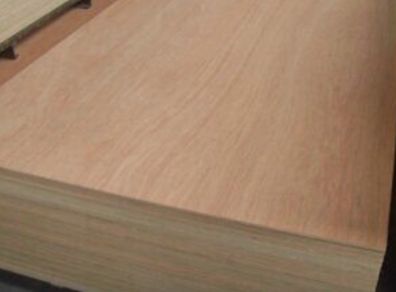 12mm WBP plywood 8x4ft
