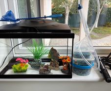 Fish Tank: 17L Starter Setup with Heater, Gravel & Decorations
