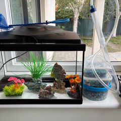Fish Tank: 17L Starter Setup with Heater, Gravel & Decorations