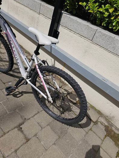 teen girl 24 mountain bike