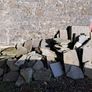 crazy paving. Image 2