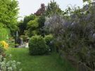 Garden services Image 4
