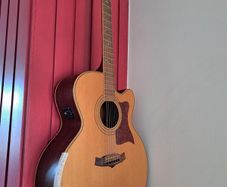 Tanglewood Premier Acoustic-Electric (Cutaway)