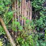 wooden posts Image 2