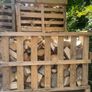garden Image 2