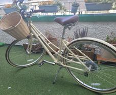 Electra bike with basket