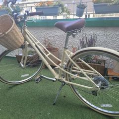 Electra bike with basket