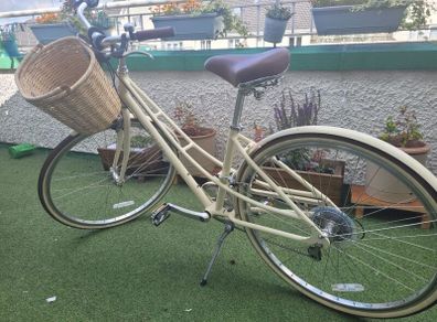 Electra bike with basket