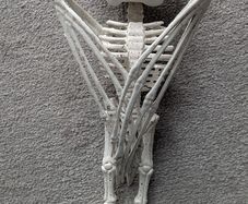 Halloween decoration