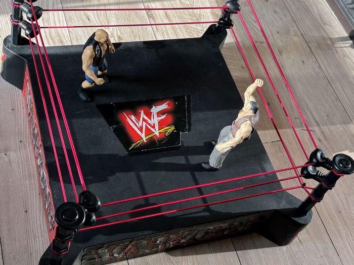 WWF / WWE Jakks BCA Monster Ring