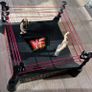 WWF / WWE Jakks BCA Monster Ring Image 2