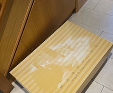 FREE Wedding dress presentation and storage box