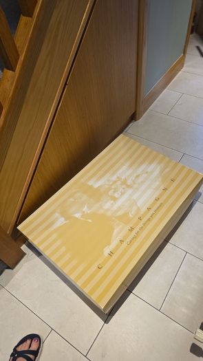 FREE Wedding dress presentation and storage box