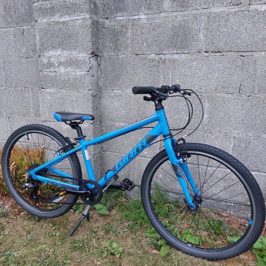 Giant ARX JR 24" wheel kids bike - kids aged 7-12 years old - Hybrid Bike - Fully serviced