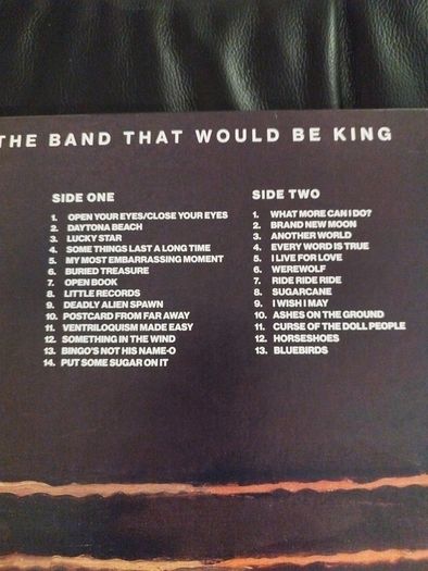 Half Japanese The band that would be king lp